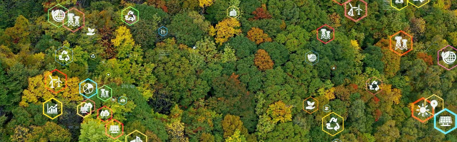 overhead image of colourful trees with  symbols overlaid representing environment, social and governance issues