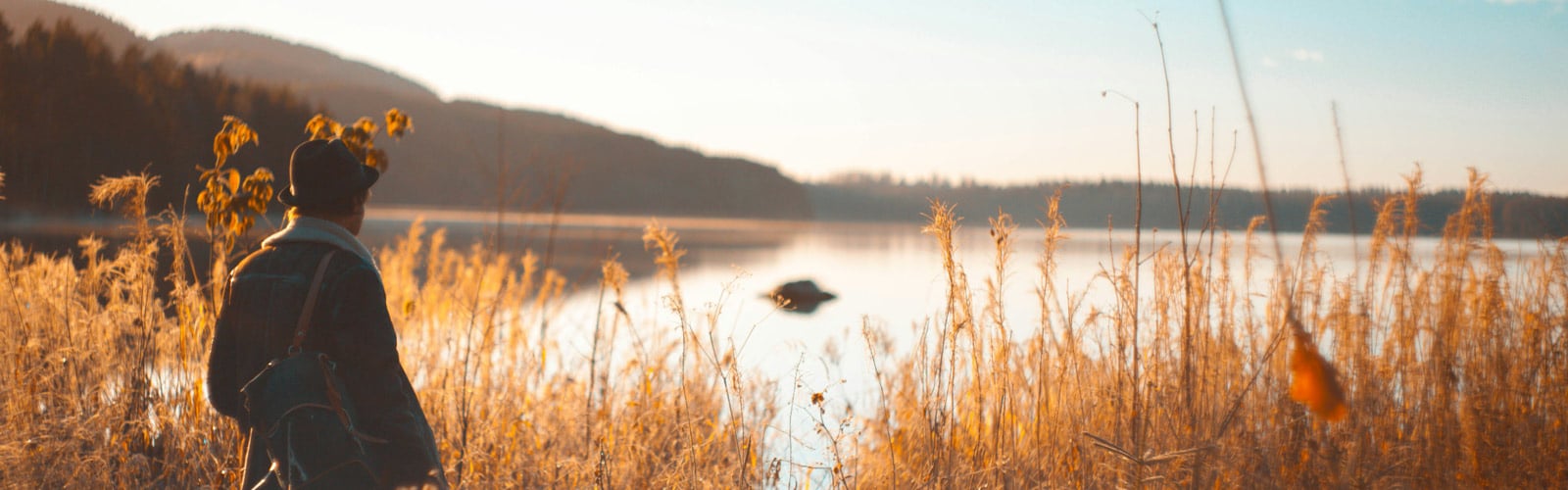 A person stands in a field of tall grass looking out over a calm lake at sunrise.